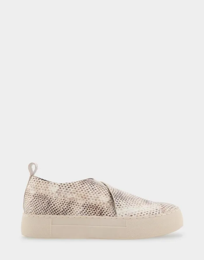 Aerosoles Comfortable Women039s Slip On Hidden Wedge Sneaker In Roccia Snake Print Leather Roccia Snake Print Leather Women Clogs and Mules