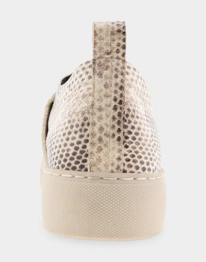Aerosoles Comfortable Women039s Slip On Hidden Wedge Sneaker In Roccia Snake Print Leather Roccia Snake Print Leather Women Clogs and Mules