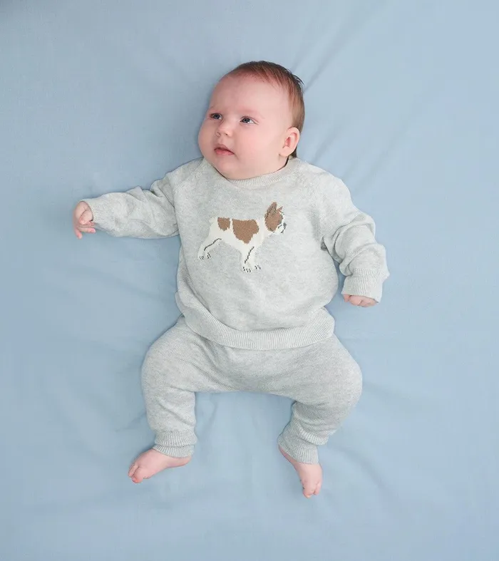 Baby Boys Little Bulldog Pullover Sweater and Pants Hatley