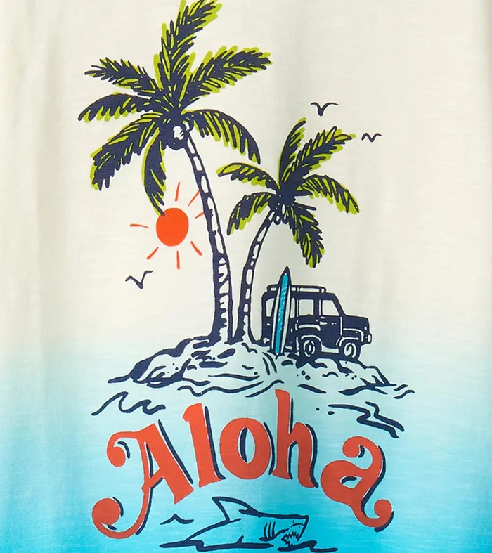 Boys Aloha Graphic Tee Hatley
