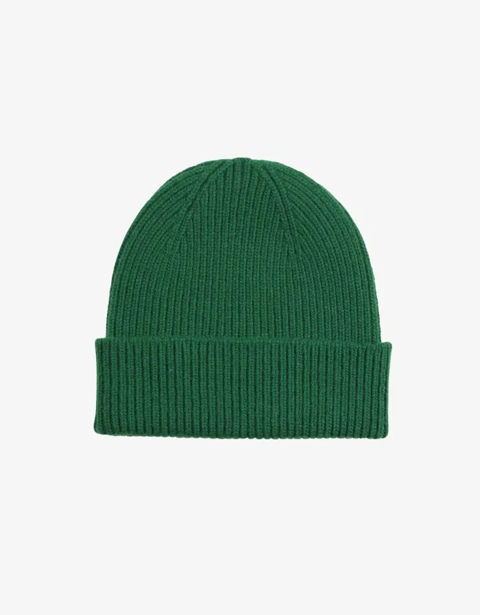 Men Beanies Colorful Standard Merino Wool Beanie Kelly Green