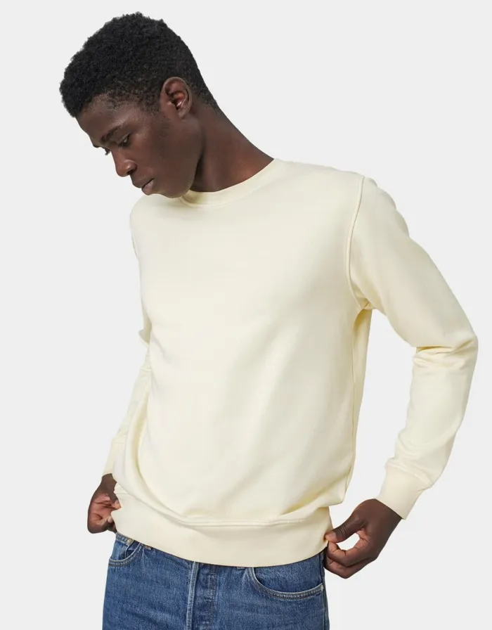 Men Crewneck Sweatshirts Colorful Standard Classic Organic Crew Kelly Green