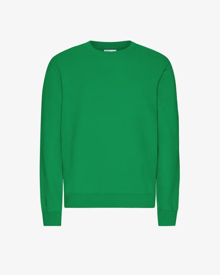 Men Crewneck Sweatshirts Colorful Standard Classic Organic Crew Kelly Green