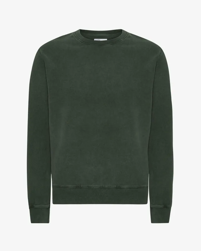 Men Crewneck Sweatshirts Colorful Standard Classic Organic Crew Midnight Forest