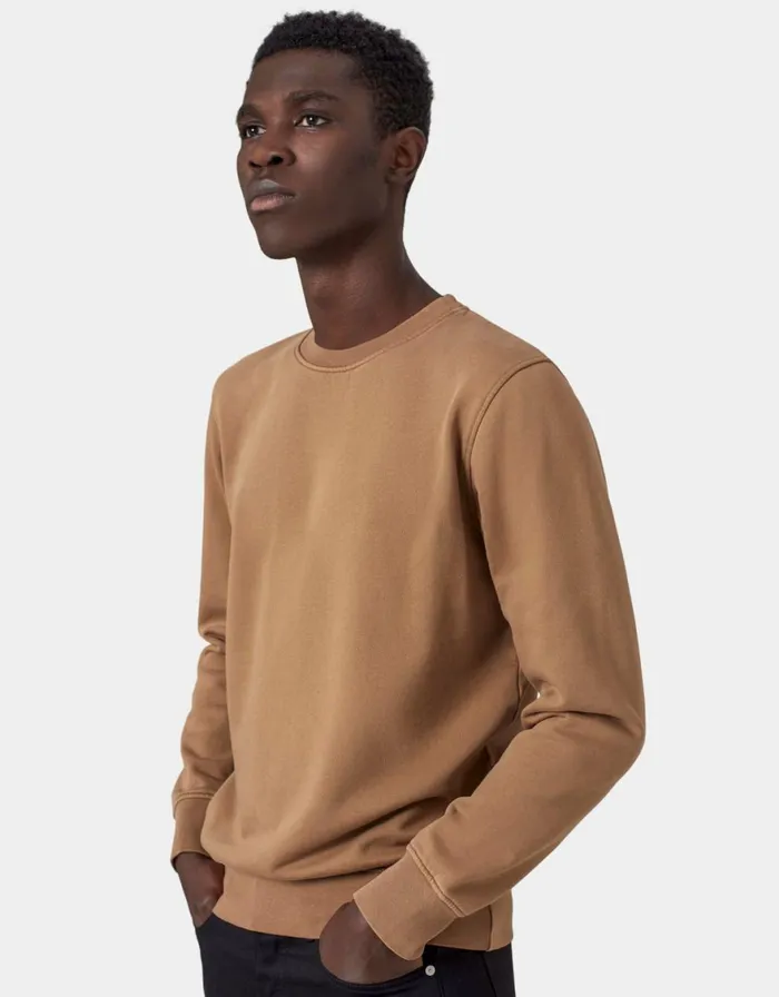 Men Crewneck Sweatshirts Colorful Standard Classic Organic Crew Midnight Forest