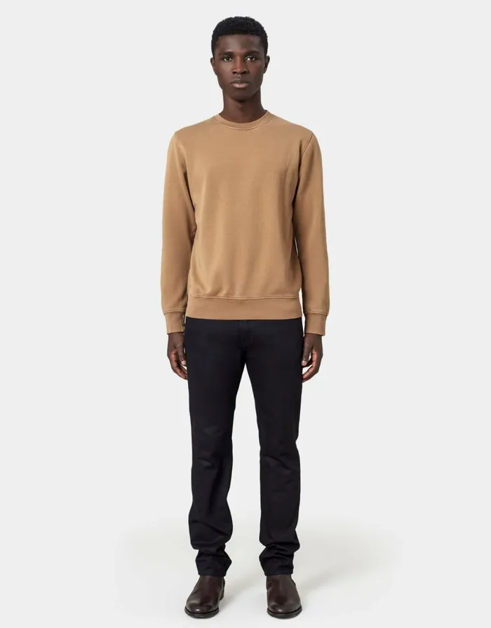 Men Crewneck Sweatshirts Colorful Standard Classic Organic Crew Midnight Forest