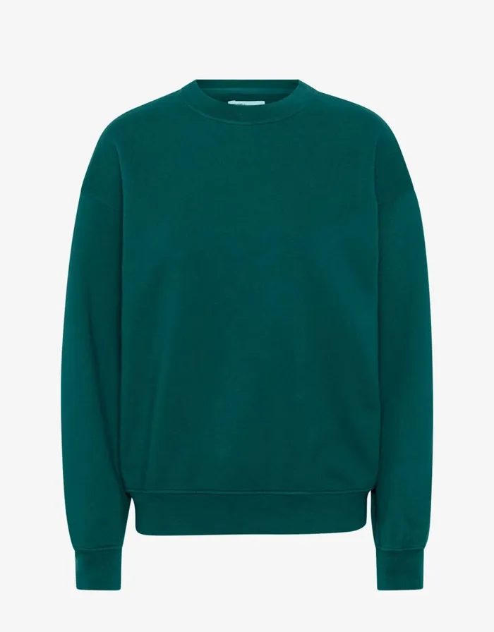 Men Crewneck Sweatshirts Colorful Standard Organic Oversized Crew Ocean Green