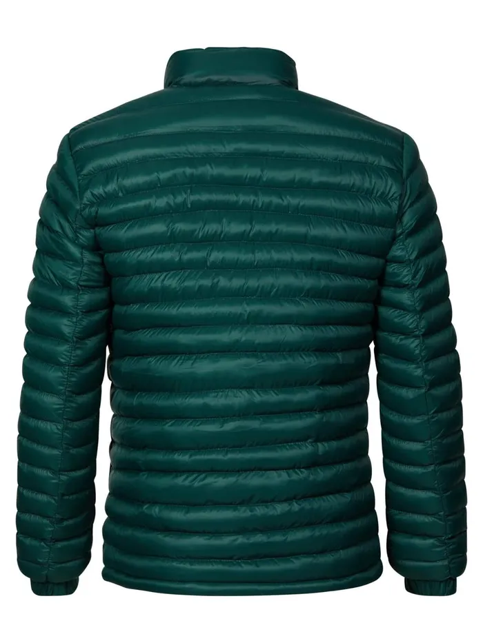 Men Jackets Petrol Industries Lightweight Jacket Wild Green