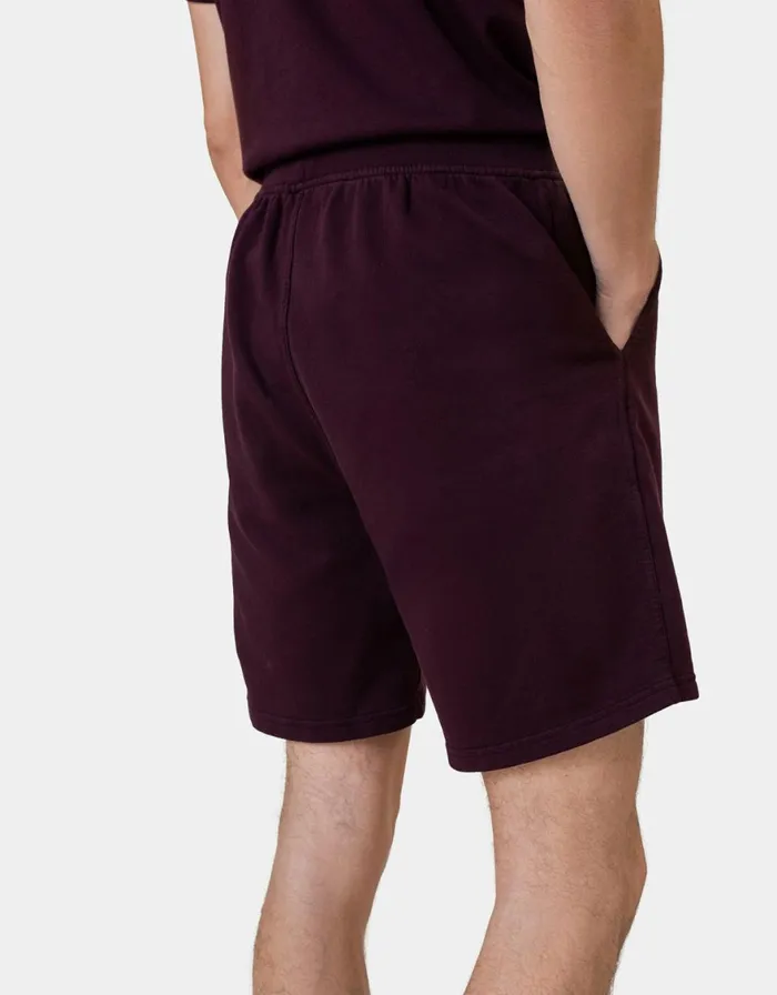 Men Shorts Colorful Standard Classic Organic Sweatshorts Light Aqua