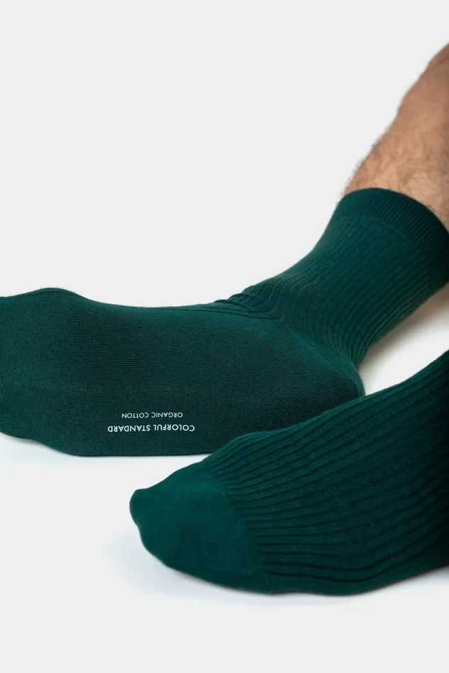 Men Socks and Colorful Standard Merino Wool Blend Sock Emerald Green