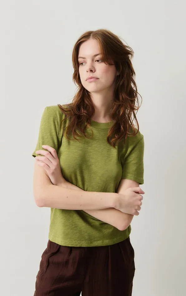 TShirt Sonoma Vintage Chameleon Women American Vintage Short Sleeve TShirts