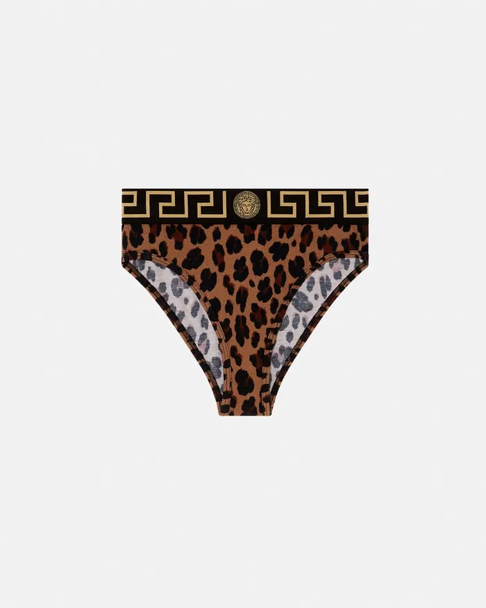 Versace Leopard Greca Briefs Animalier Women Bras and Briefs