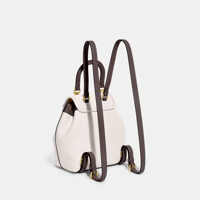 Women Backpacks Coach Riya Backpack 21 In Colorblock Brasschalk Multi