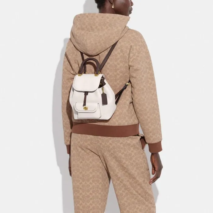 Women Backpacks Coach Riya Backpack 21 In Colorblock Brasschalk Multi