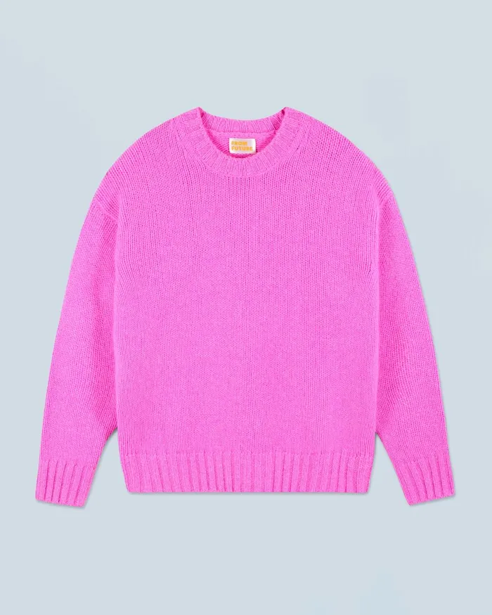 Women Cashmere Sweaters From Future Pull Col Rond Pink