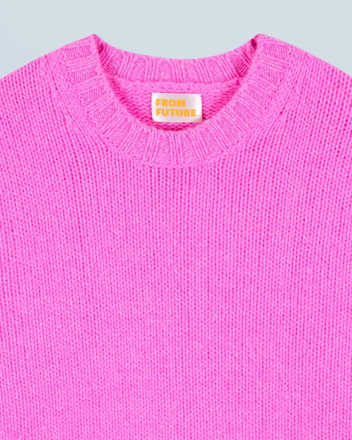 Women Cashmere Sweaters From Future Pull Col Rond Pink