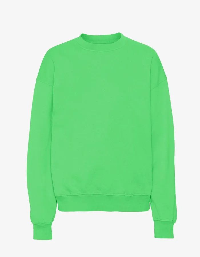 Women Crewneck Sweatshirts Colorful Standard Organic Oversized Crew Spring Green