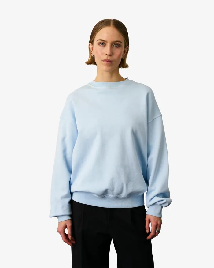 Women Crewneck Sweatshirts Colorful Standard Organic Oversized Crew Spring Green