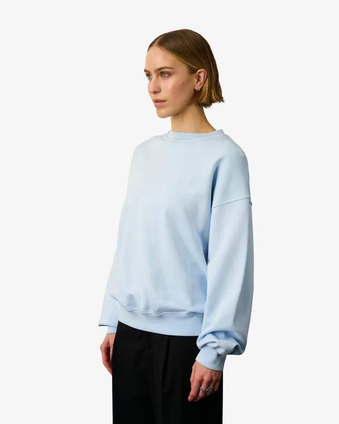 Women Crewneck Sweatshirts Colorful Standard Organic Oversized Crew Spring Green