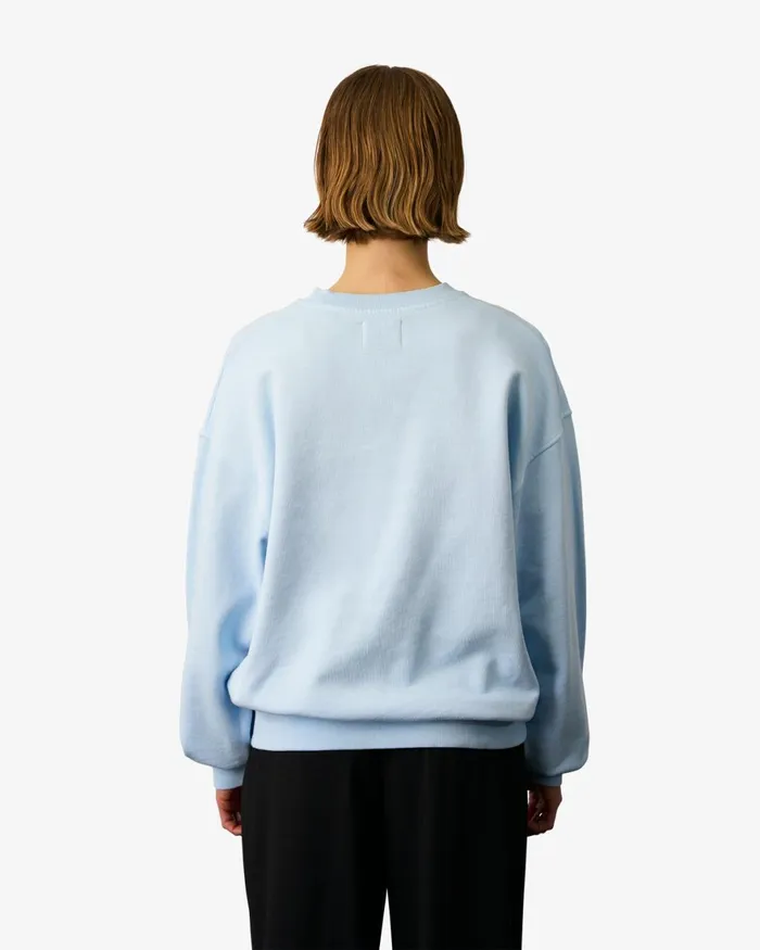 Women Crewneck Sweatshirts Colorful Standard Organic Oversized Crew Spring Green