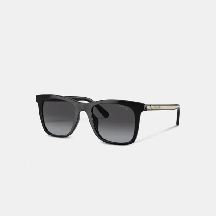 Women Eyewear Coach Disney X Coach Striped Square Sunglasses Blackivory
