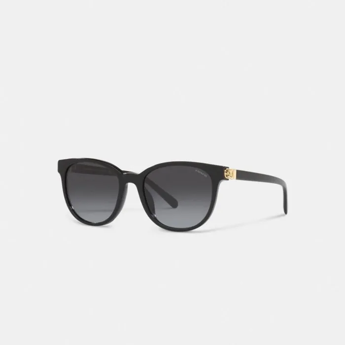 Women Eyewear Coach Horse And Carriage Round Sunglasses Black