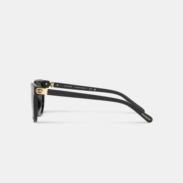 Women Eyewear Coach Horse And Carriage Round Sunglasses Black